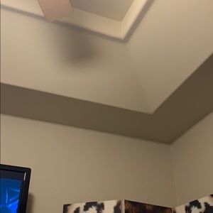 Meet your Posher, Beau